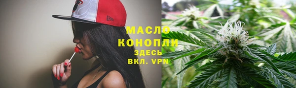 тгк Михайлов