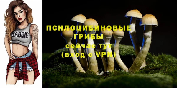 синтетический гашиш Михайловка