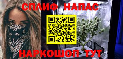 амф Камышлов