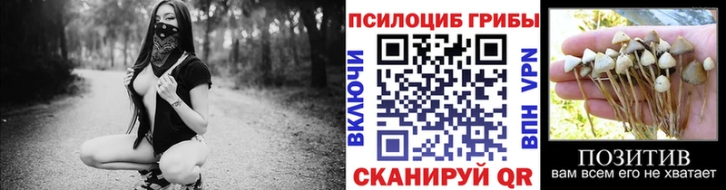 Галлюциногенные грибы ЛСД  где можно купить наркотик  гидра как войти  Новокубанск 