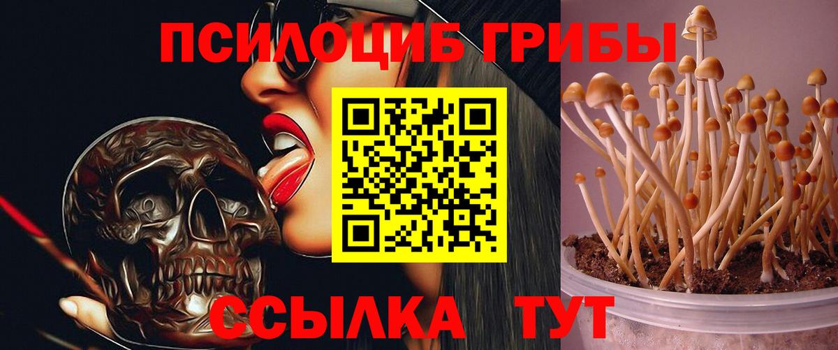 Гашиш  Новокубанск  Меф кристаллы  MDMA  КОКАИН  Вход с VPN  Меф МЯУ МЯУ  АМФЕТАМИН   Каннабис 