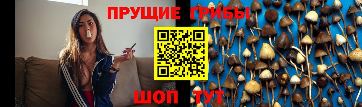 Псилоцибиновые грибы мухоморы Новокубанск