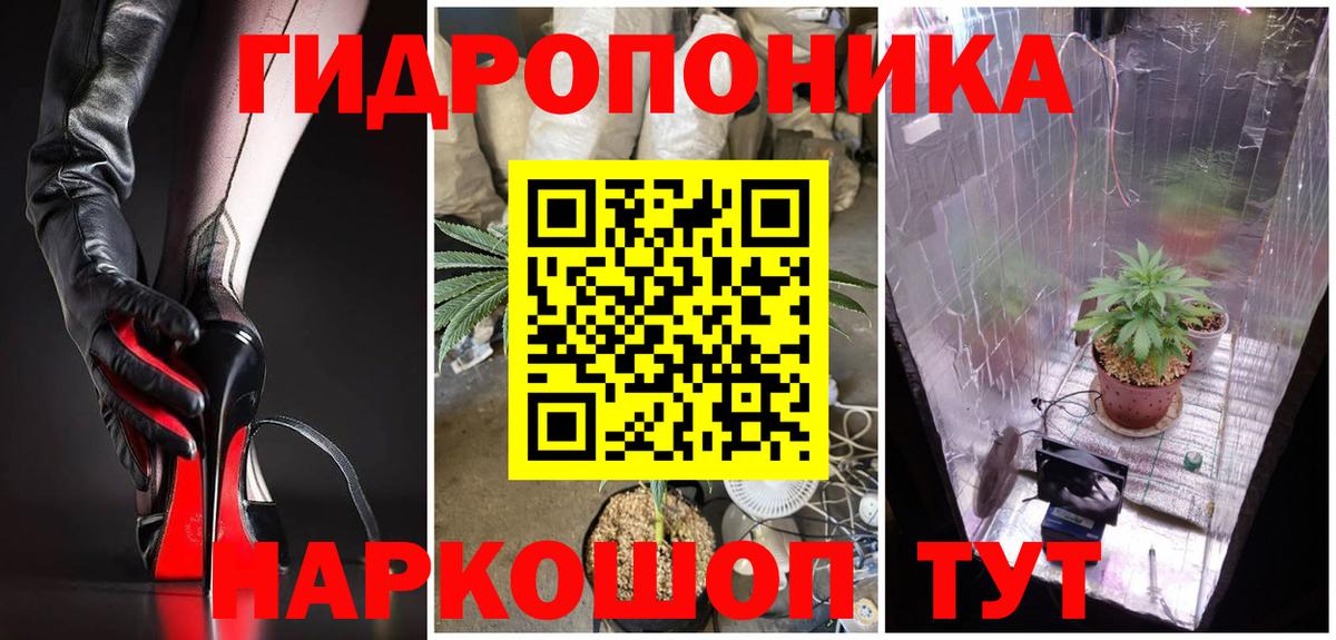 МАРИХУАНА OG Kush Новокубанск